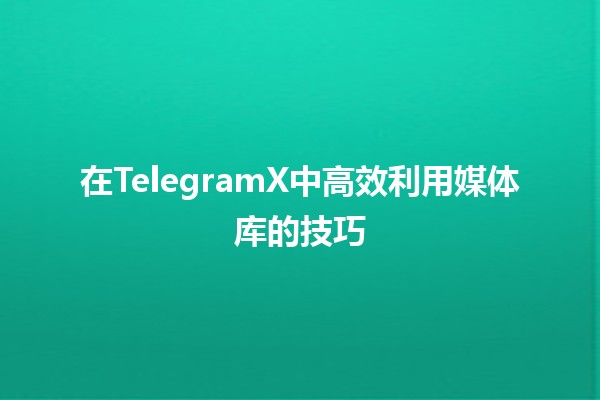 在TelegramX中高效利用媒体库的技巧 📸💡