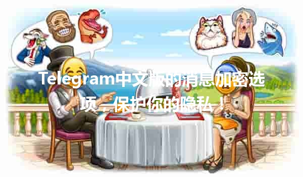 Telegram中文版的消息加密选项🔒📱，保护你的隐私！